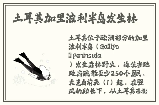 茄子app视频福利